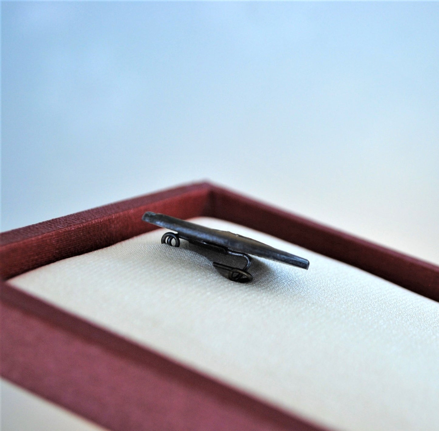 Volksrepubliek Bulgarije Stedelijk volksraad Pyce