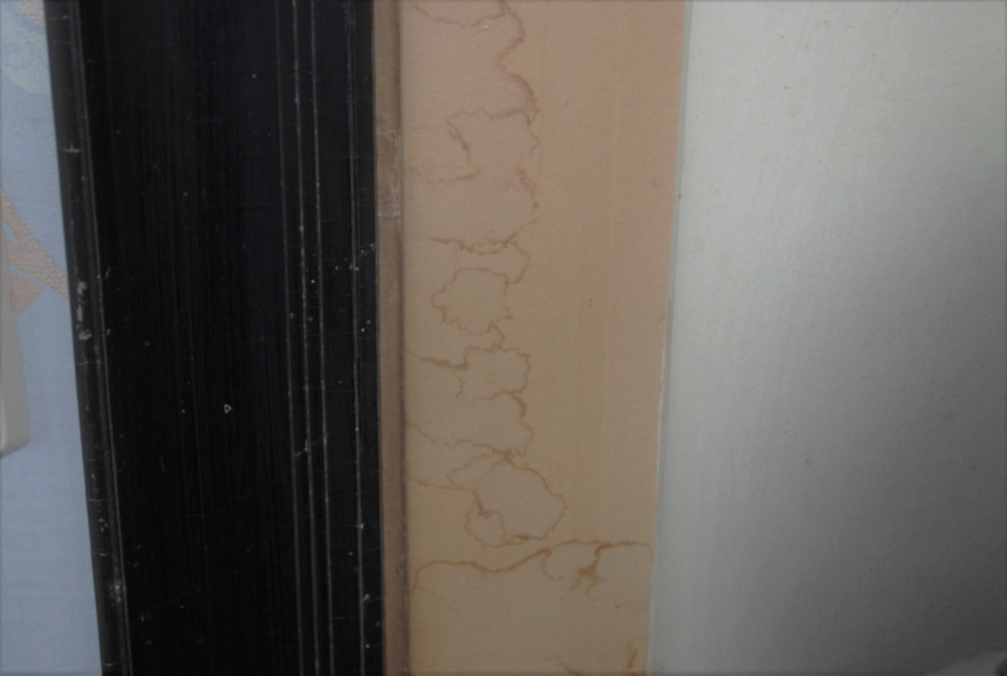 Ingelijst portret overleden Duitse soldaat WW 1 Gevallen op 5 september in 1915 Rusland