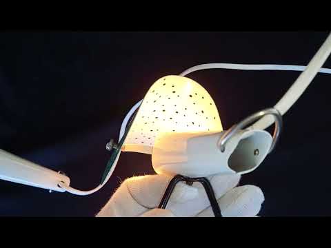 2 stuks Bureau / Wandlamp van Ernest Igl " The Little Dog "