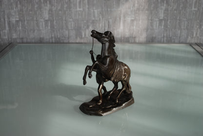 De strijd tussen een ongetemd paard en halfnaakte man met een atletisch figuur.