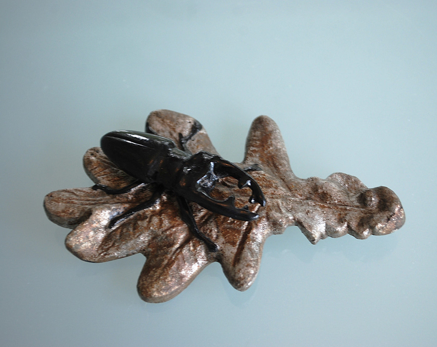 Vliegend Hert Kever op eikenbladeren. 2 verschillende