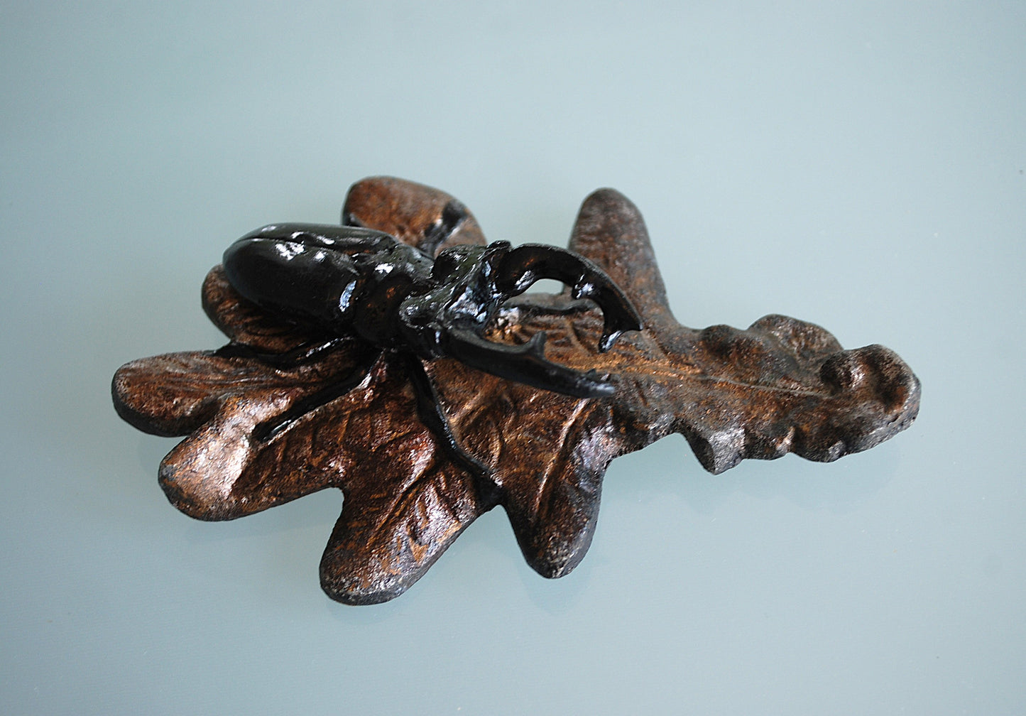 Vliegend Hert Kever op eikenbladeren. 2 verschillende