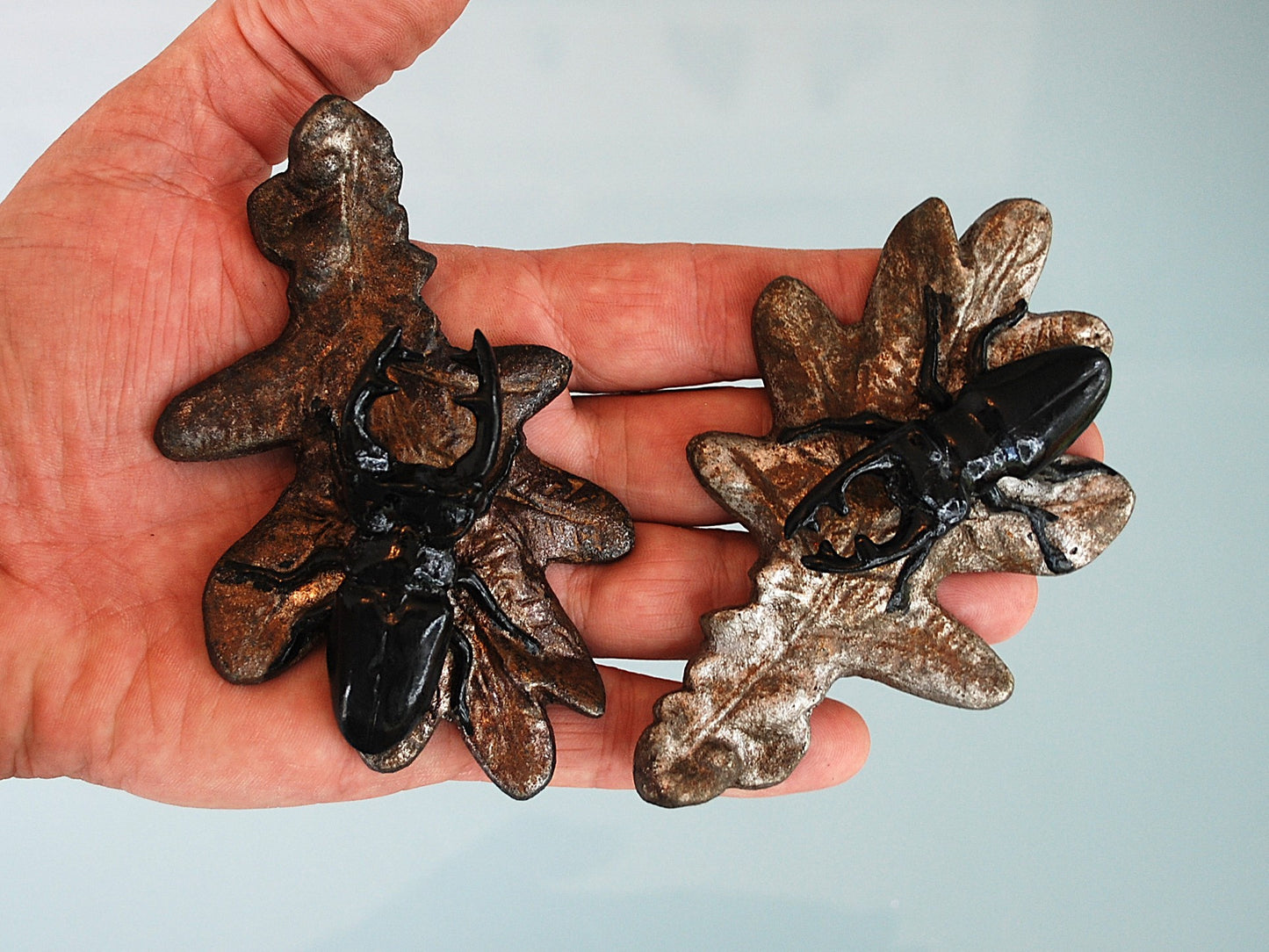 Vliegend Hert Kever op eikenbladeren. 2 verschillende