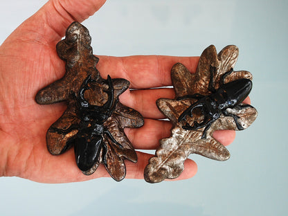 Vliegend Hert Kever op eikenbladeren. 2 verschillende