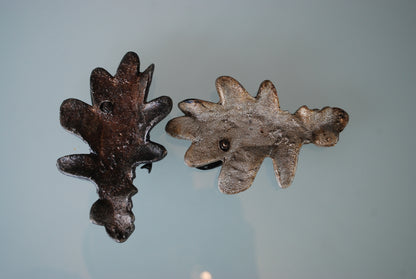 Vliegend Hert Kever op eikenbladeren. 2 verschillende