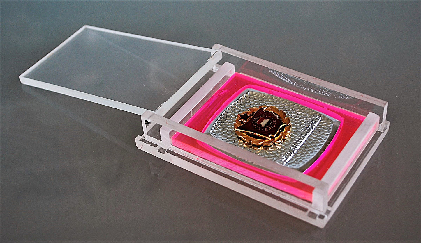 Medaille Plaque Socialistische Brigade