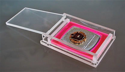 Medaille Plaque Socialistische Brigade