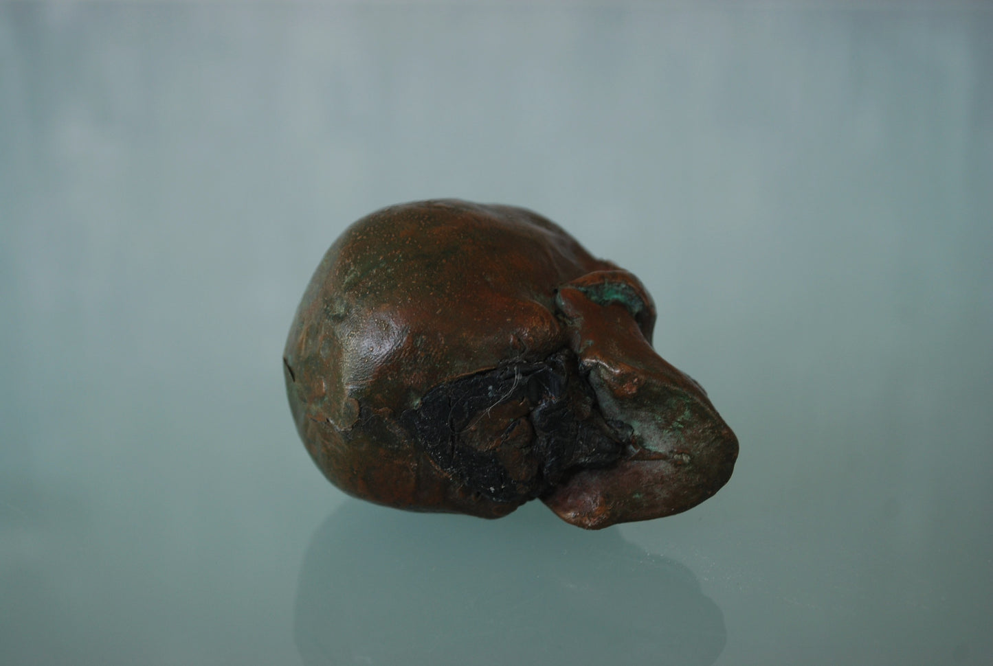 Oude schedel gemaakt van koper met prachtig patina *