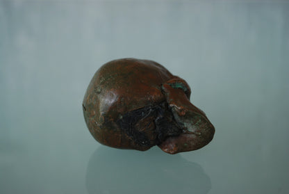 Oude schedel gemaakt van koper met prachtig patina *