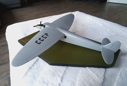 Kalinin, de eerste passagiers vliegtuig van de Sovjet unie. GROOT model !