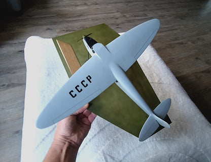 Kalinin, de eerste passagiers vliegtuig van de Sovjet unie. GROOT model !