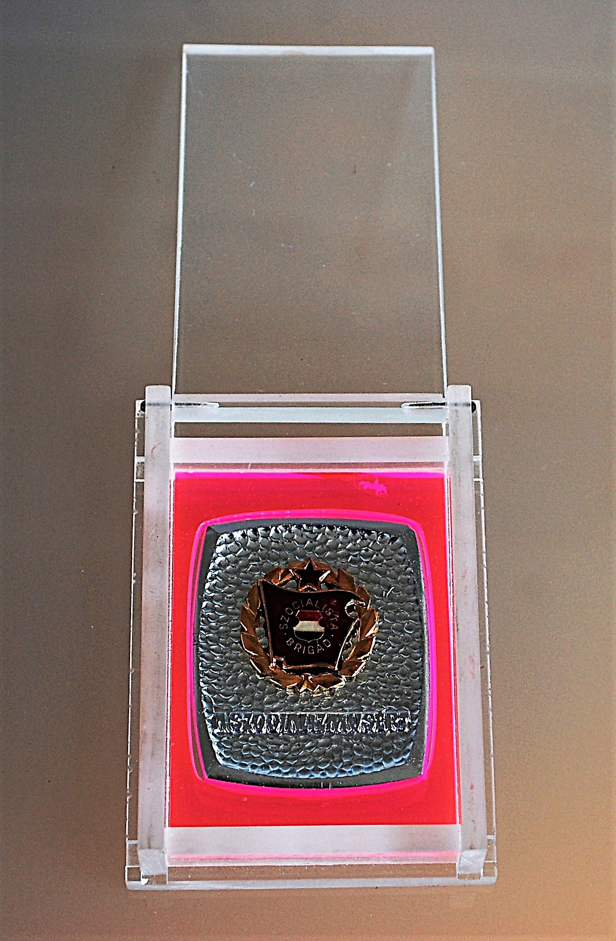 Medaille Plaque Socialistische Brigade