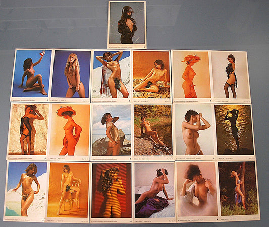 Pin up Stickers 19 verschillende en ook verschillende sets