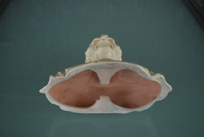 Pre order Stalin buste keramiek gesigneerd kunstenaar Pokorný - Groot!