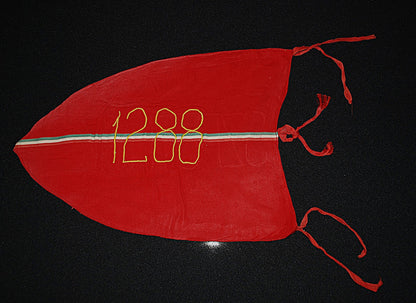 Satellite Sputnik banner Eastern Bloc flag from association building
