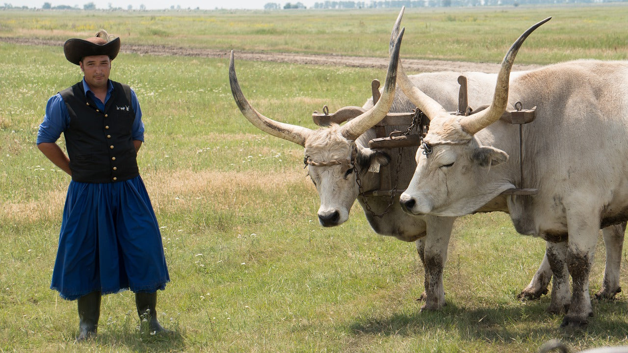 Zsolnay Grijze rund stier Beeldhouwer Shinko.