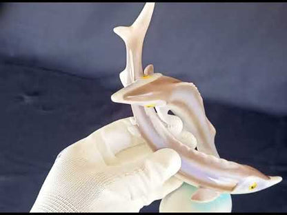 Steur paar Hollohaza Porselein.