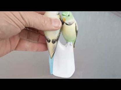 Grasparkiet paar. Vintage porselein vogel