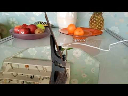 Vlag van koper " Elöre " uit verenigingsgebouw