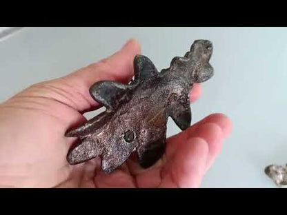 Vliegend Hert Kever op eikenbladeren. 2 verschillende